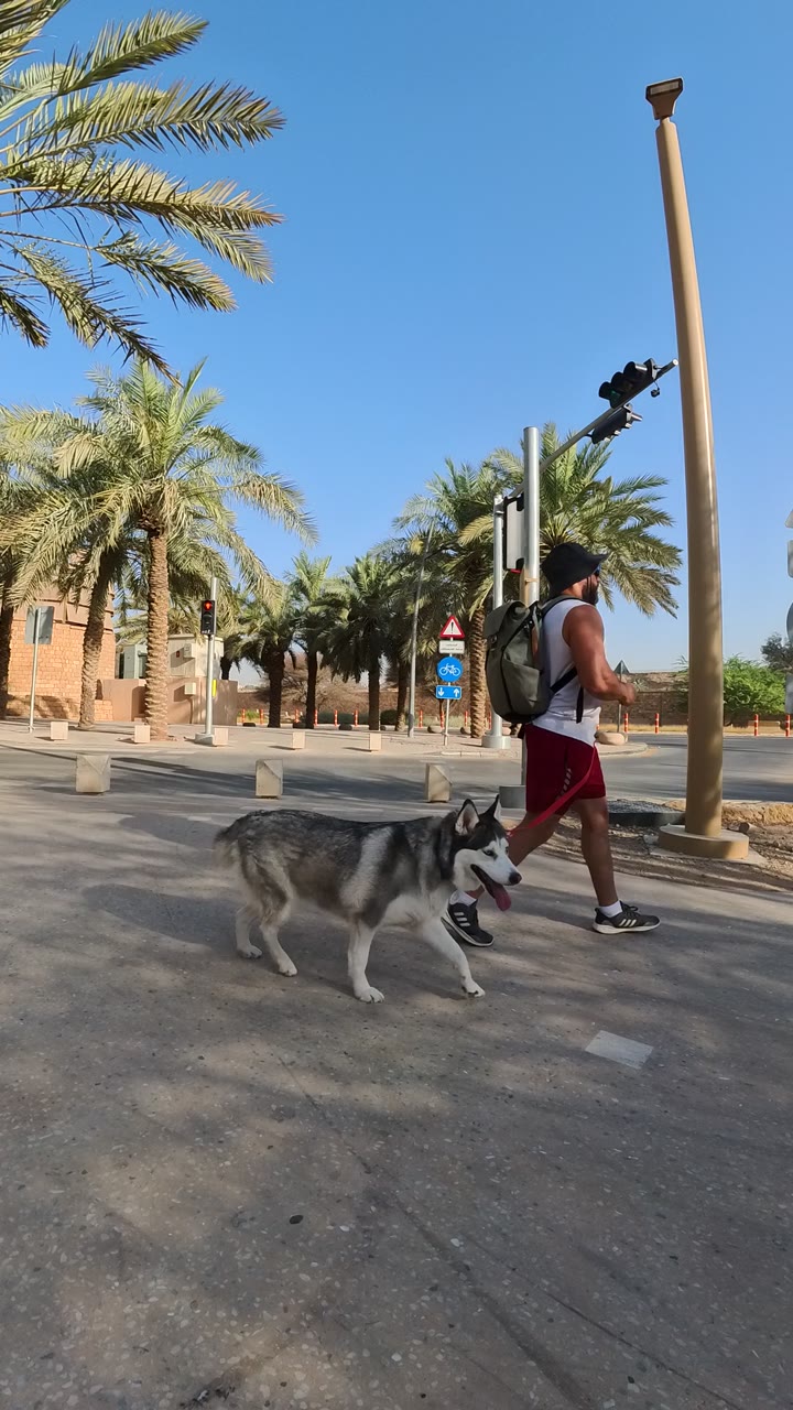 A runner and dog on a palm-lined path in Riyadh